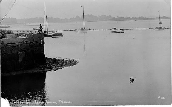The Harbor